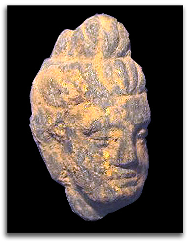 Image of Gandhara Buddha head.